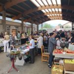 Zapažen nastup INZ-a na “Danima meda i maline” u Žepču