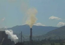 Mara Botić: Moje oboljenje je na neki način uzrokovano zagađenjem