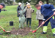 Zasađene nove sadnice u okviru regionalne inicijative „Drvo prijateljstva“