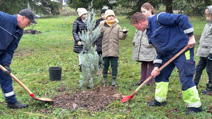 A001_11271113_C467.mov_000007560