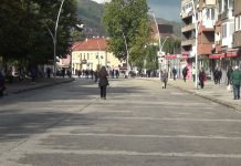 Alma Kratina-Neophodan Zakon o zaštiti mentalnog zdravlja