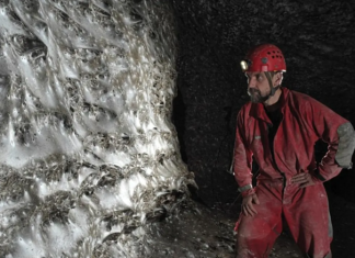 Dom 111.000 paukova: Najveća mreža na svijetu otkrivena na granici Albanije i Grčke