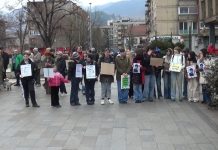 Stanovnici Zenice podržali proteste i zahtjeve mladih u Sarajevu