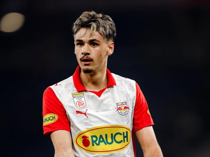kerim-alajbegovic-salzburg1