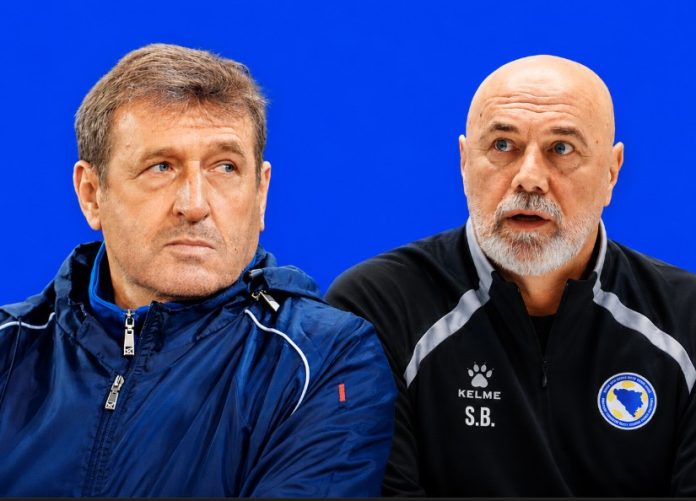 safet-susic-sergej-barbarez
