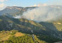 Požar kod Konjica se širi, gasitelji na izmaku snaga