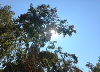 Danas sunčano i veoma toplo vrijeme