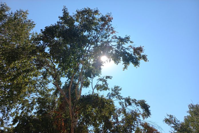 sunčanooo