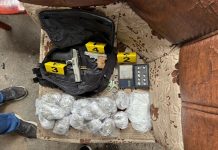 Policija u Zenici izvršenim pretresom pronašla i oduzela oko 826,00 grama opojne droge, dva pištolja i određenu količinu municije