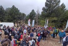 Izviđači iz Zenice učestvovali u 11. sadnji Boranke u BiH na Blidinju