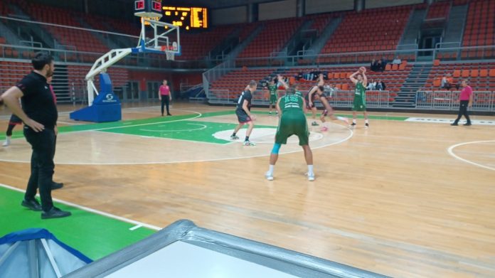 kosarka2